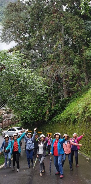 八仙山、谷關一日遊（2）八仙山走走趣（一）