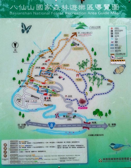 八仙山、谷關一日遊（2）八仙山走走趣（一）