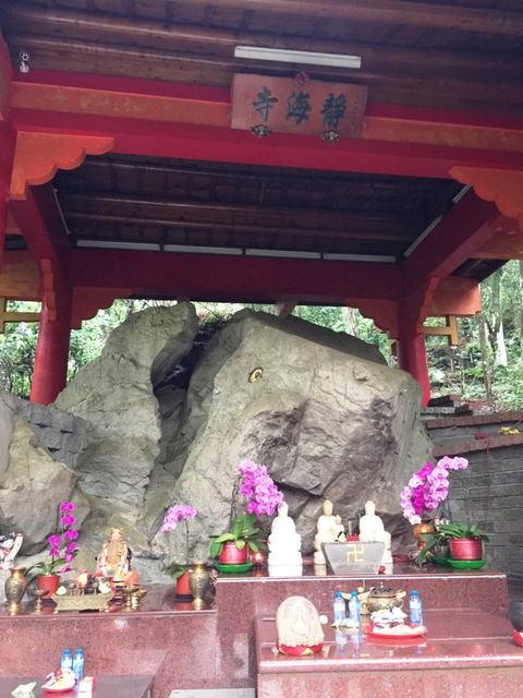 八仙山、谷關一日遊（2）八仙山走走趣（一）