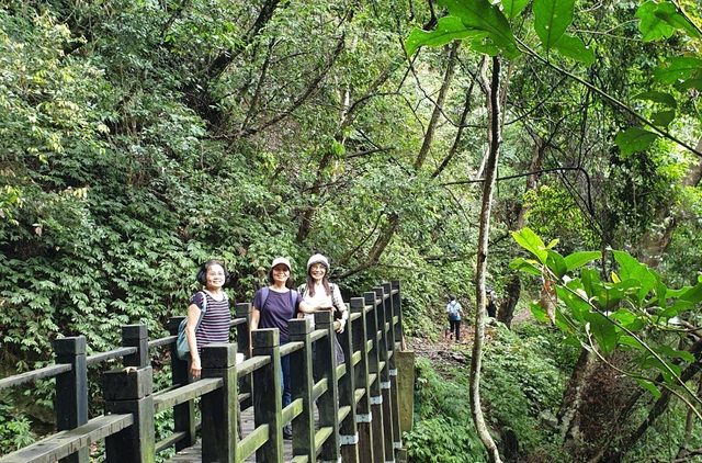 八仙山、谷關一日遊（2）八仙山走走趣（一）