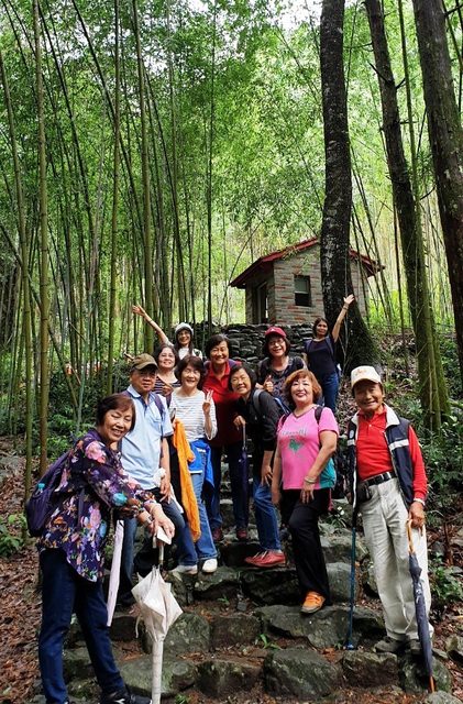 八仙山、谷關一日遊（2）八仙山走走趣（一）
