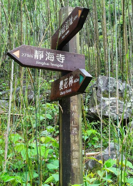 八仙山、谷關一日遊（2）八仙山走走趣（一）
