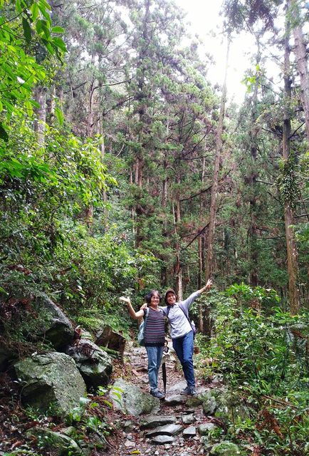 八仙山、谷關一日遊（2）八仙山走走趣（一）