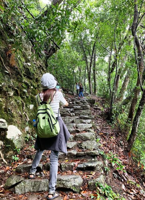 八仙山、谷關一日遊（2）八仙山走走趣（一）