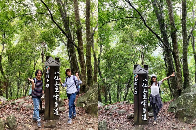 八仙山、谷關一日遊（2）八仙山走走趣（一）