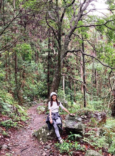 八仙山、谷關一日遊（2）八仙山走走趣（一）
