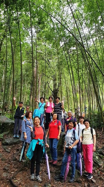 八仙山、谷關一日遊（2）八仙山走走趣（一）