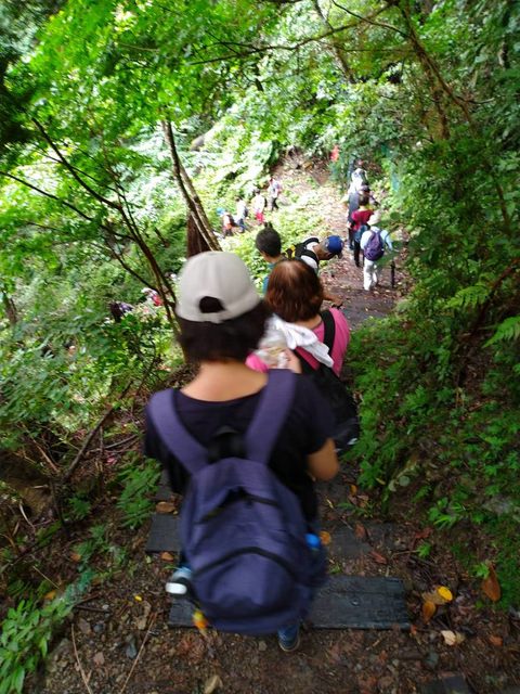 八仙山、谷關一日遊（2）八仙山走走趣（一）