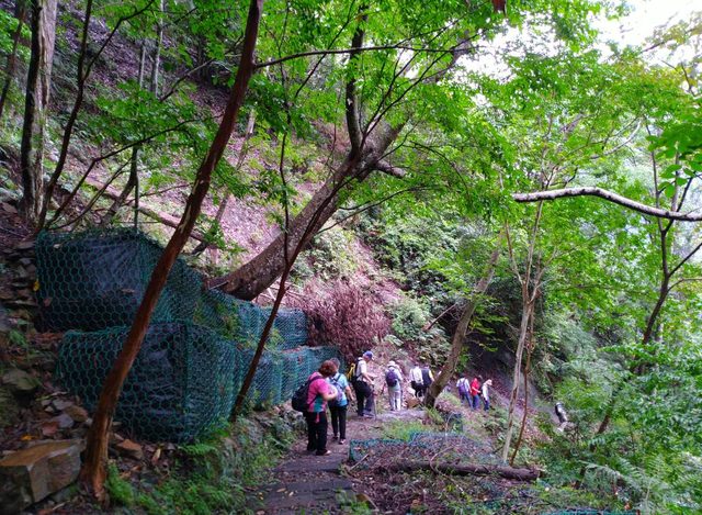 八仙山、谷關一日遊（2）八仙山走走趣（一）