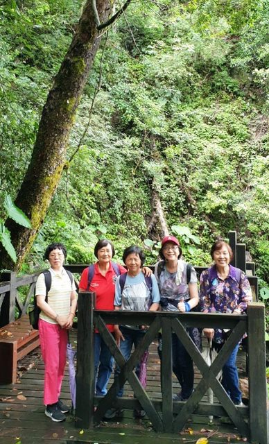 八仙山、谷關一日遊（2）八仙山走走趣（一）