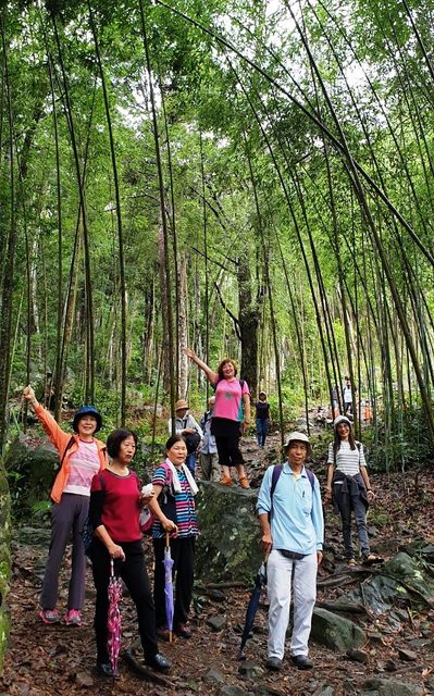 八仙山、谷關一日遊（2）八仙山走走趣（一）