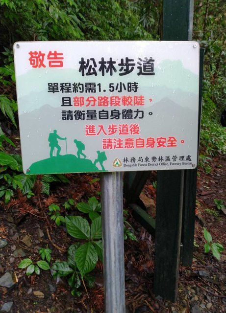 八仙山、谷關一日遊（2）八仙山走走趣（一）