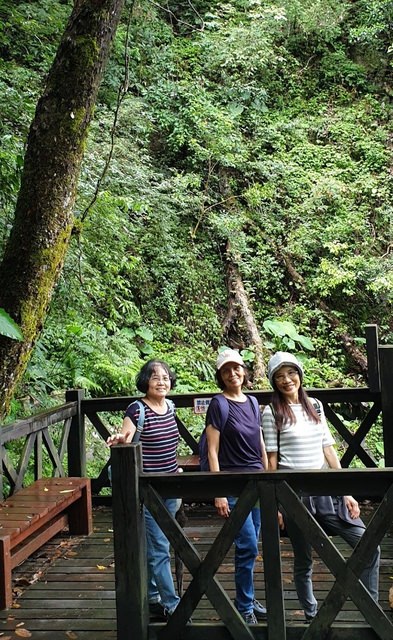 八仙山、谷關一日遊（2）八仙山走走趣（一）
