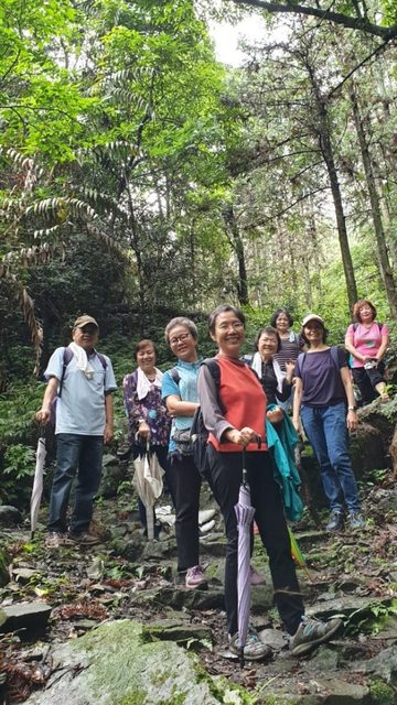八仙山、谷關一日遊（2）八仙山走走趣（一）