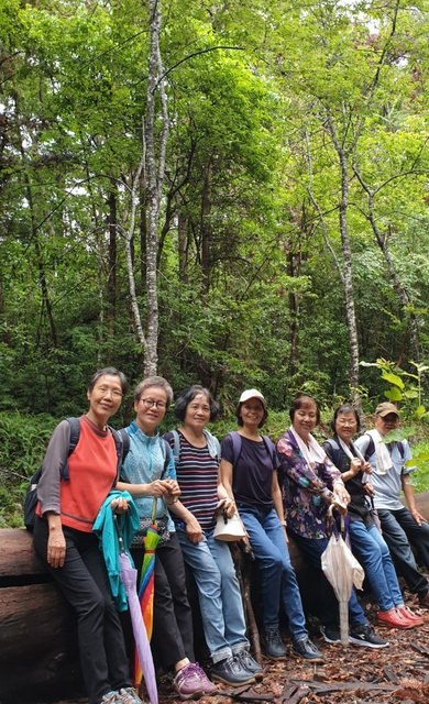 八仙山、谷關一日遊（2）八仙山走走趣（一）
