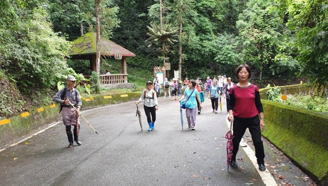 八仙山、谷關一日遊（2）八仙山走走趣（一）