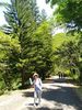 IMG_20200617_104558.jpg
