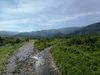 IMG_20200617_091856.jpg