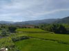 IMG_20200617_091907.jpg