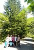 IMG_20200617_104651.jpg
