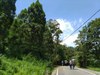 IMG_20200617_110308.jpg