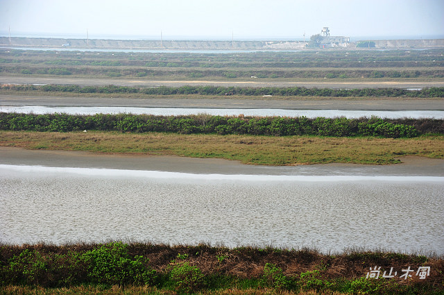 漫遊東石、布袋（三）鰲鼓溼地（2）
