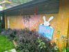 IMG_20200626_130141.jpg