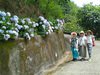 IMG_20200626_111509.jpg