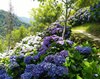 IMG_20200626_112334.jpg
