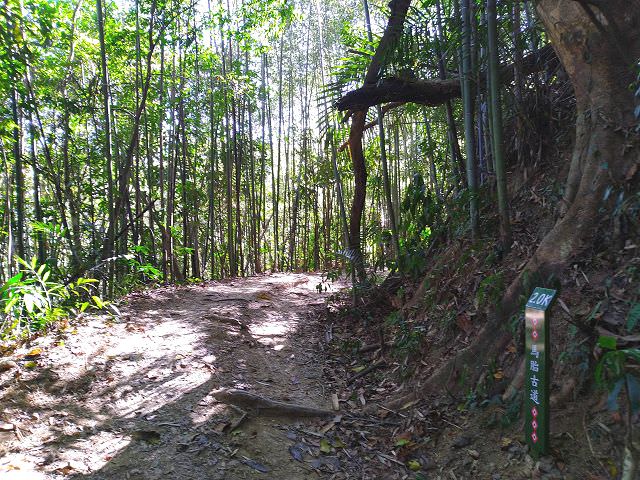 「馬胎古道」走走趣 part2