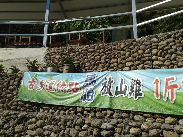 「馬胎古道」走走趣 part2