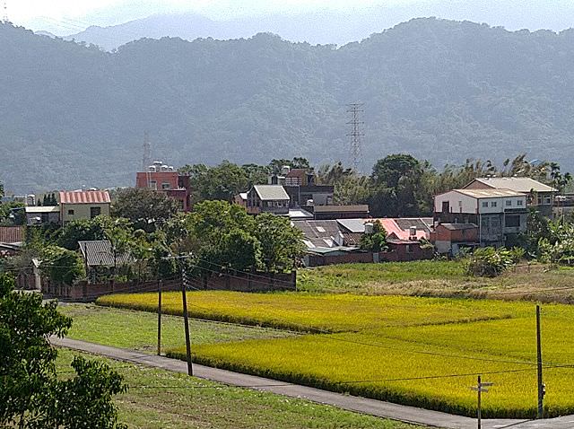 三坑老街、三坑鐵馬道走走趣