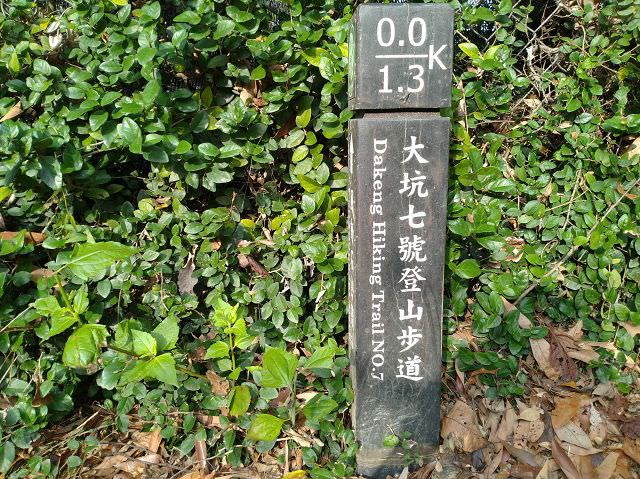 台中、苗栗遊趣（2）大坑七號步道