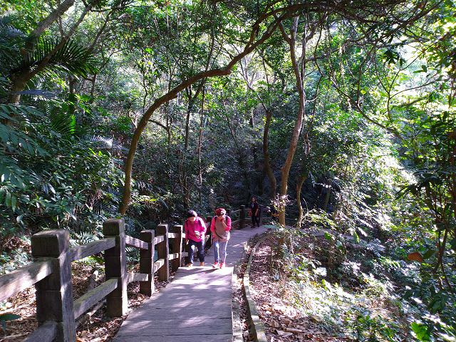 台中、苗栗遊趣（2）大坑七號步道