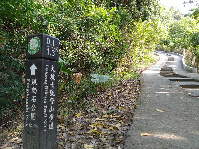 台中、苗栗遊趣（2）大坑七號步道