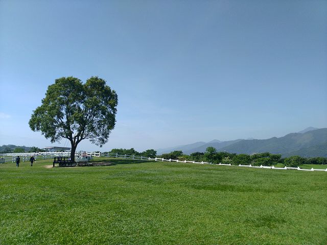 環島之旅（1）無菜單旅遊