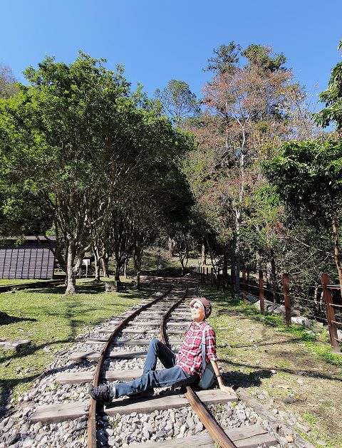 山行兩日（9）八仙山之森林步道