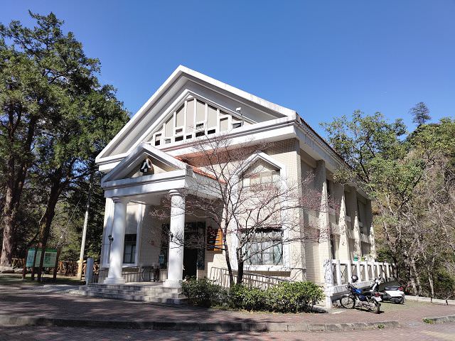 山行兩日（9）八仙山之森林步道