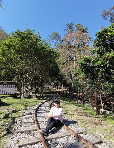 山行兩日（9）八仙山之森林步道