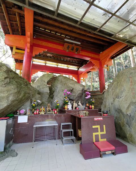 山行兩日（9）八仙山之森林步道