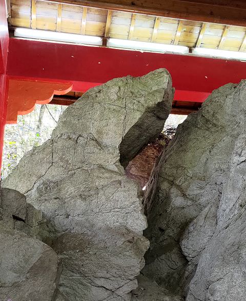 山行兩日（9）八仙山之森林步道