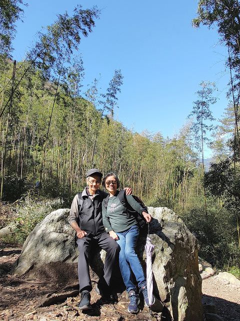 山行兩日（9）八仙山之森林步道