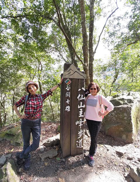 山行兩日（9）八仙山之森林步道