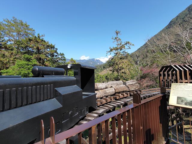 山行兩日（9）八仙山之森林步道