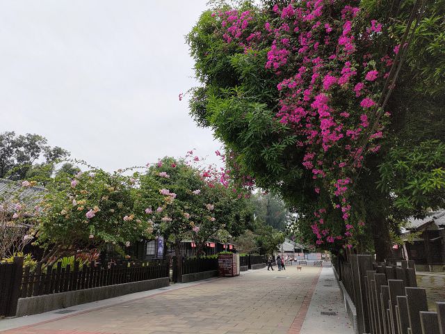 中南部五日遊（18）檜意森活村