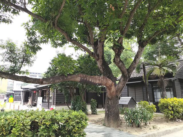 中南部五日遊（18）檜意森活村