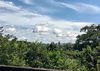 P_20220601_085202.jpg