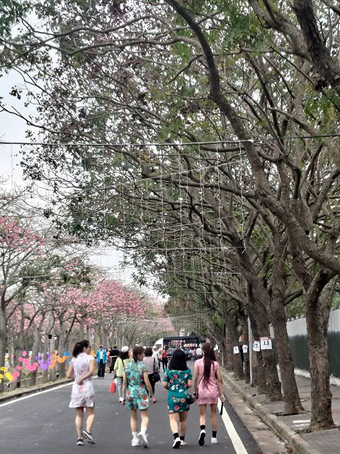 雲嘉南輕旅（2）行程簡述
