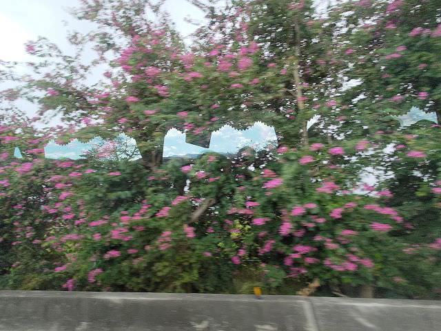 雲嘉南輕旅（3）出發到虎尾