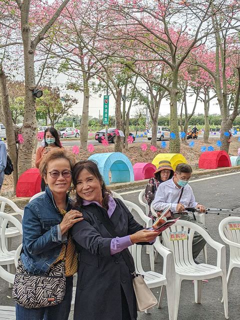 雲嘉南輕旅（4）虎尾美人樹大道